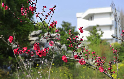 凱里市黃岡實驗學校