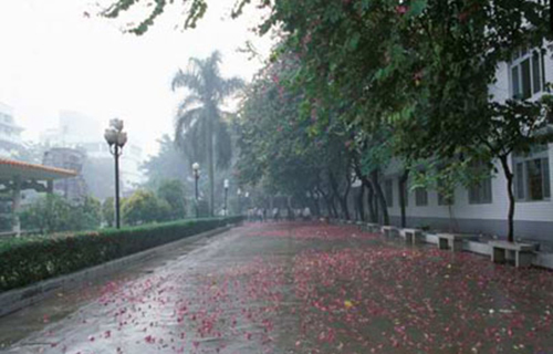 永川市紅爐鎮(zhèn)紅爐初級中學