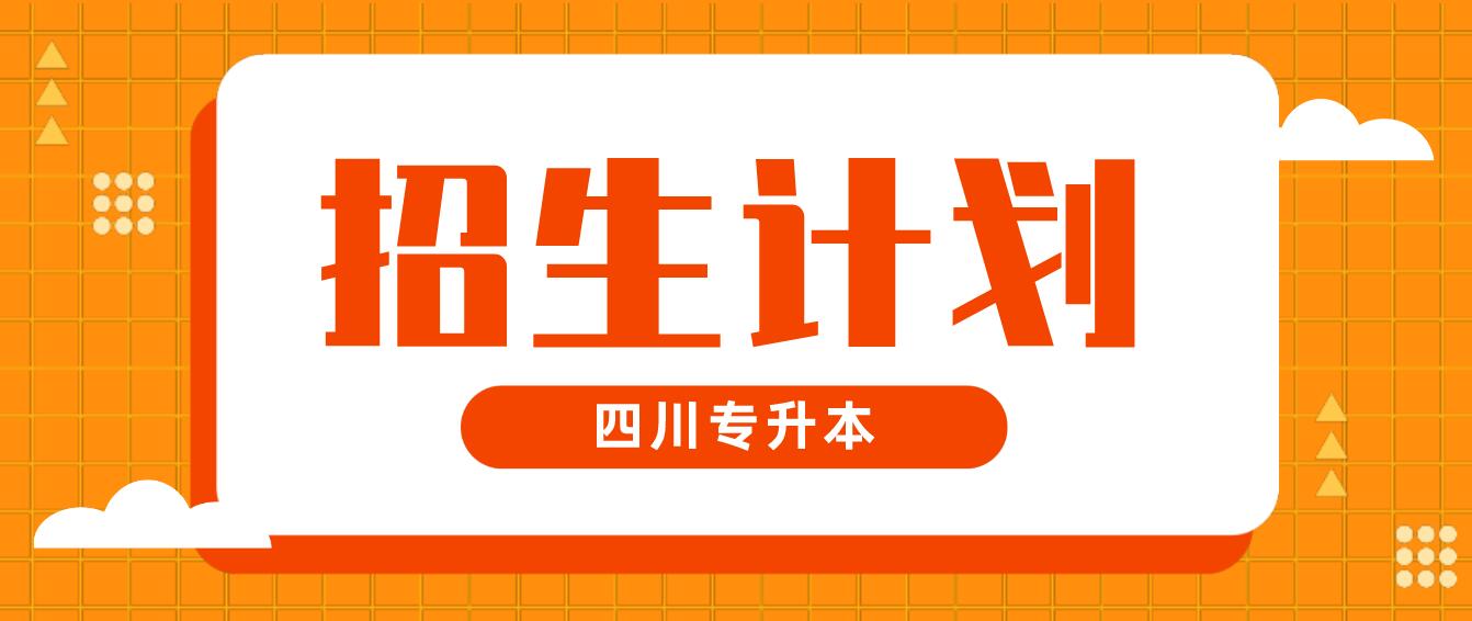 四川警察學(xué)院2022年專(zhuān)升本招生專(zhuān)業(yè)及計(jì)劃