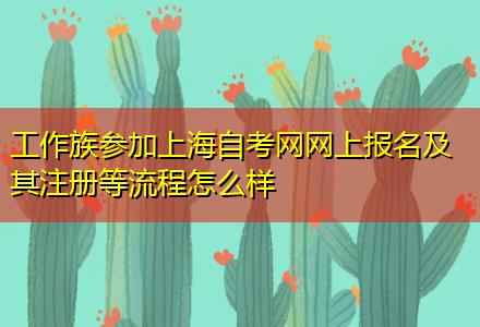 工作族參加上海自考網(wǎng)網(wǎng)上報名及其注冊等流程怎么樣