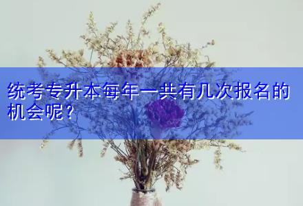 統(tǒng)考專升本每年一共有幾次報名的機會呢？