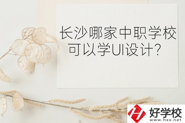 長(zhǎng)沙哪家中職學(xué)校可以學(xué)UI設(shè)計(jì)？