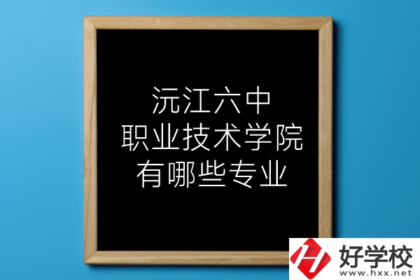 湖南沅江六中職業(yè)技術學院有哪些專業(yè)？