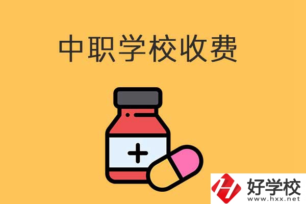 衡陽的中職學(xué)校怎么收費的？費用貴不貴？