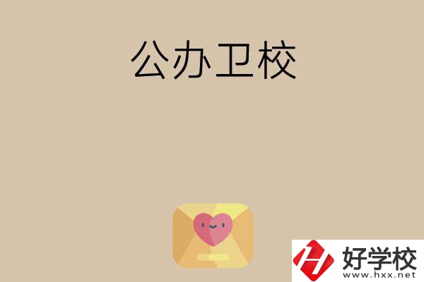 想在湖南上公辦衛(wèi)校？這所學(xué)校值得一看