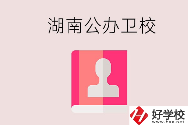 想在湖南上公辦衛(wèi)校可以選擇哪些學(xué)校？