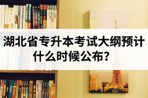 湖北省專升本考試大綱預(yù)計什么時候公布？現(xiàn)階段怎么備考比較好？