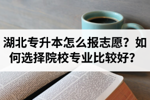 湖北省專升本怎么報志愿？如何選擇填報院校專業(yè)比較好？