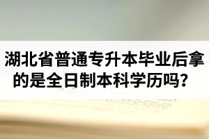 湖北省普通專升本畢業(yè)后拿的是全日制本科學(xué)歷嗎？