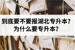 到底要不要報湖北專升本？為什么要專升本？