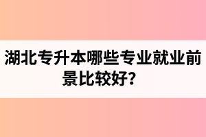 湖北專升本哪些專業(yè)就業(yè)前景比較好？