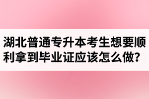 湖北普通專升本考生想要順利拿到畢業(yè)證應(yīng)該怎么做？