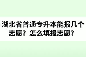 湖北省普通專升本能報(bào)幾個志愿？怎么填報(bào)志愿？