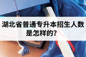 湖北省普通專升本招生人數(shù)是怎樣的？