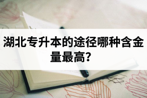 湖北普通專升本英譯漢段落翻譯分析應(yīng)該怎么做？