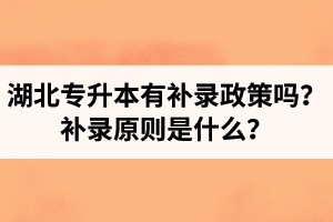 湖北專升本有補(bǔ)錄政策嗎？補(bǔ)錄原則是什么？