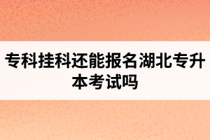 ?？茠炜七€能報名湖北專升本考試嗎？在哪里能獲取最新的專升本資訊？