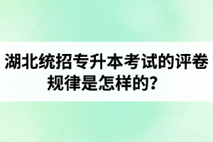 湖北統(tǒng)招專升本考試的評(píng)卷規(guī)律是怎樣的？怎么避免丟失細(xì)節(jié)分？