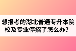 想報(bào)考的湖北普通專升本院校及專業(yè)停招了怎么辦？