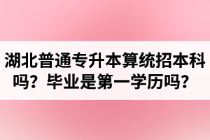 湖北普通專升本算統(tǒng)招本科嗎？專升本學(xué)歷是第一學(xué)歷嗎？