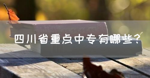 四川省重點(diǎn)中專有哪些？(圖1)