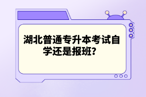 湖北普通專升本考試自學還是報班？