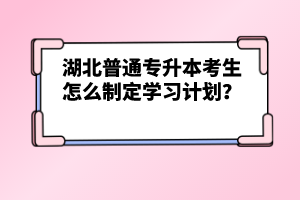 湖北普通專升本考生怎么制定學習計劃？