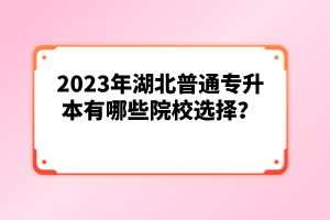 2023年湖北普通專升本有哪些院校選擇？