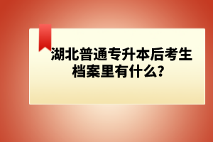 湖北普通專升本后考生檔案里有什么？