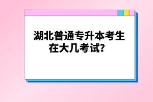 湖北普通專升本考生在大幾考試？