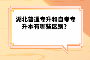 湖北普通專升和自考專升本有哪些區(qū)別？