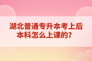 湖北普通專升本考上后本科怎么上課的？