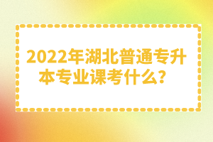 2022年湖北普通專升本專業(yè)課考什么？