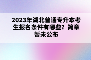 2023年湖北普通專升本考生報(bào)名條件有哪些？簡(jiǎn)章暫未公布