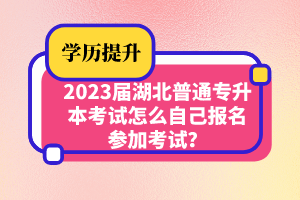 2023屆湖北普通專升本考試怎么自己報名參加考試？