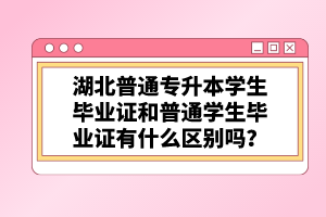 湖北普通專升本學(xué)生畢業(yè)證和普通學(xué)生畢業(yè)證有什么區(qū)別嗎？