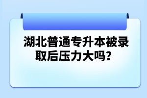 湖北普通專升本被錄取后壓力大嗎？