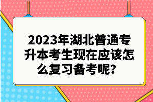 2023年湖北普通專升本考生現(xiàn)在應(yīng)該怎么復(fù)習(xí)備考呢？