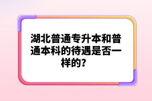 湖北普通專升本和普通本科的待遇是否一樣的？