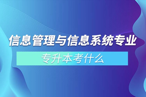 信息管理與信息系統(tǒng)專業(yè)專升本考什么