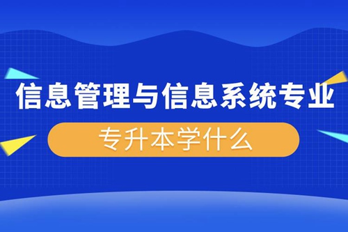 信息管理與信息系統(tǒng)專業(yè)專升本學(xué)什么