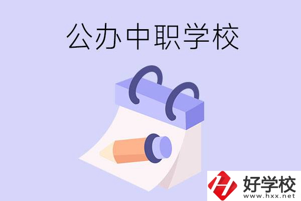 湖南公辦中職學校有哪些辦學規(guī)模比較大的？