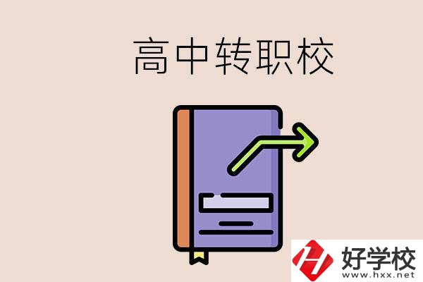 有在讀高中不想讀轉(zhuǎn)職校的例子嗎？能轉(zhuǎn)到湖南職校嗎？