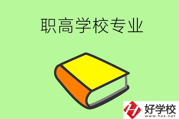 湖南省株洲市職高學校有哪些專業(yè)比較好？