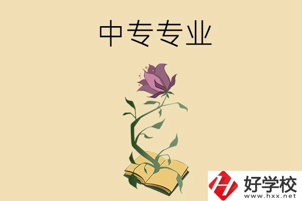 在張家界讀中專，學什么專業(yè)比較好？