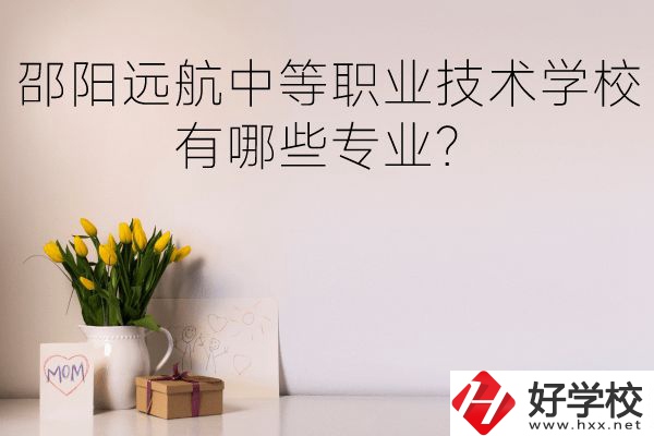 邵陽遠(yuǎn)航中等職業(yè)技術(shù)學(xué)校有哪些專業(yè)？