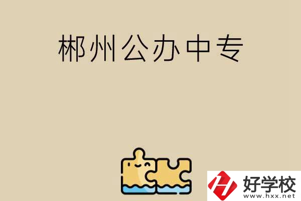 郴州公辦中專有哪些開設(shè)了電子商務(wù)專業(yè)？