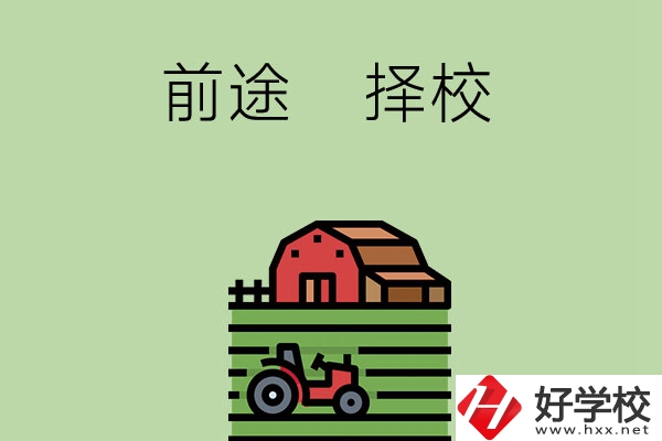 在長(zhǎng)沙讀中職學(xué)校有前途嗎，如何擇校？