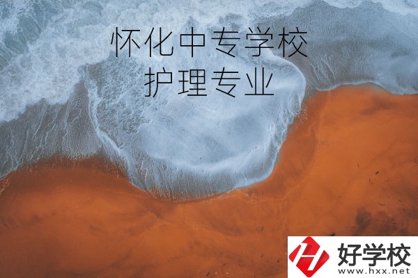 懷化有學(xué)護(hù)理專業(yè)的中專學(xué)校嗎？