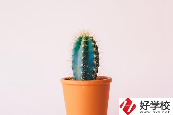 長(zhǎng)沙有哪些中職學(xué)?？梢詫W(xué)習(xí)幼師專業(yè)？